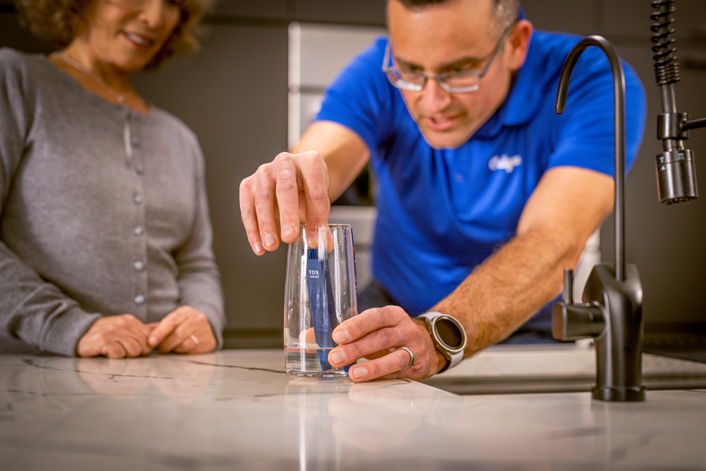 Home water test